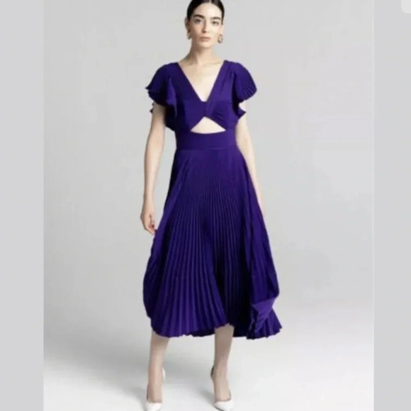 A.L.C. NWT Sorrento Accordion Pleated Midi Dress - Picture 1 of 10